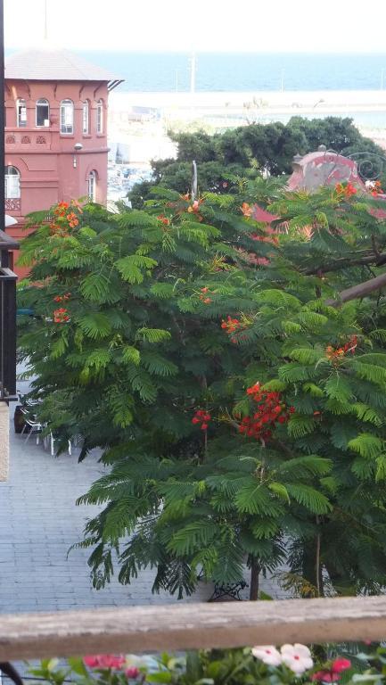فندق Casa Colonial Cejas سانتا كروز دي تينيريف الغرفة الصورة